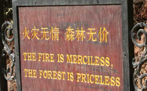 mercilessfire.jpg